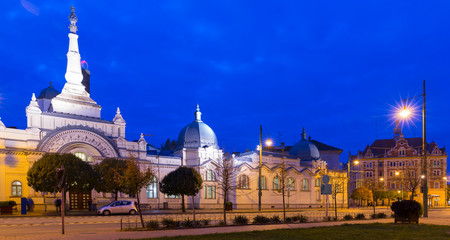Night cityscape of Szeged with bathing complex