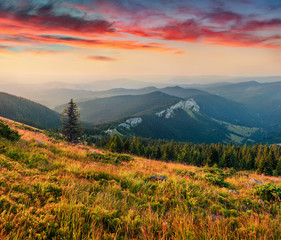Splendid summer view of Pietrele Albe Peak from Vladeasa mountain range, Cluj County, Romania. Colorful sunset scene of Apuseni Mountains. Beauty of nature concept background.