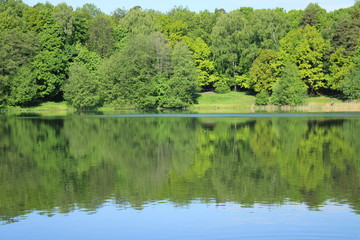 Pond shore in a city forest park