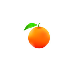 Oranges vector illustration with handmade mesh. - Vector