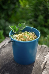 white currant berries in a blue bucket