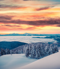 Foggy winter sunrise in the snowy mountain