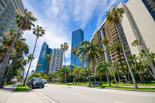 Miami, Florida, USA : Luxurious condominiums and hi-rises, and beautiful palm trees in Brickell Bay Drive.