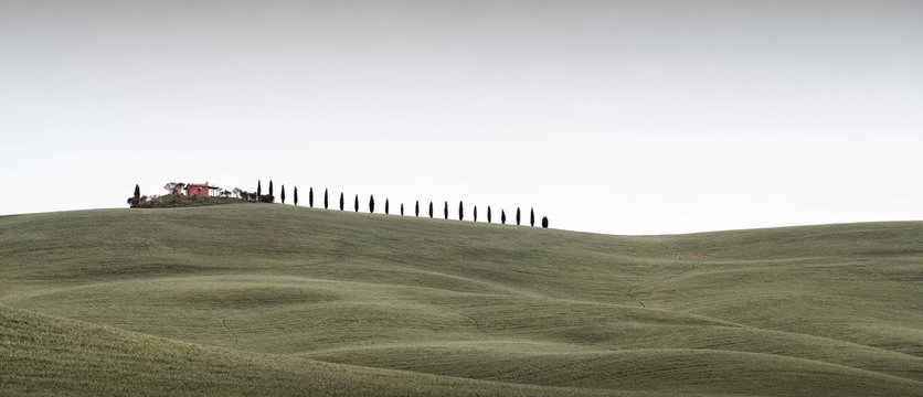 Tuscany Landscape
