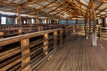 Abandoned shearing shed in outback Australia.