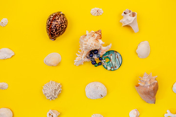 Beautiful necklaces are laid with shells. Costume jewelry is perfectly harmonises with yellow...