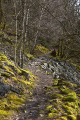 Nationalpark Hunsrück-Hochwald, Mörschieder Burr