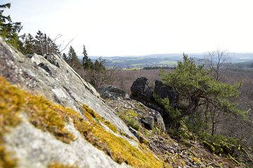 Nationalpark Hunsrück-Hochwald, Mörschieder Burr