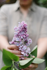 a bouquet of lilacs with woman hands