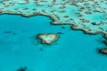Fototapeta na wymiar The Heart in The Great Barrier Reef in Australia.