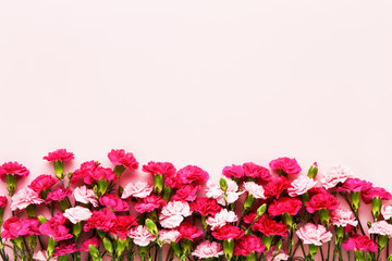 Bright pink carnation flowers bouquet on pink background. Mother's day, Valentines Day, Birthday celebration concept. Greeting card. Copy space
