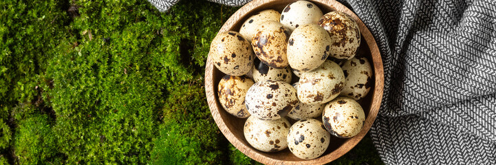 Quail eggs in a wooden bowl on a background of moss. On the moss is a wooden plate with quail eggs. There were a lot of eggs in the plate. Top view with a space for text. Banner