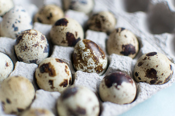 Quail eggs. Farm natural food in a cardboard box. Easter holiday. Spotted little eggs.
