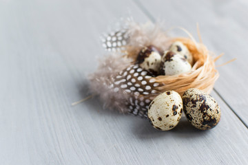 Easter eggs. Easter holiday. Quail eggs in a nest with bird feathers. Tender photo on a gray wooden background. Fresh farm products.