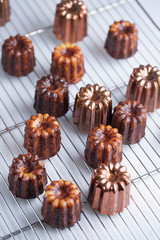 French traditional dessert canele on the pastry lattice for glazing