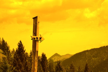 Gelb gefärbte Bilder als Texturen oder Hintergründe