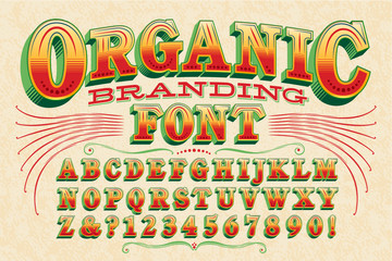 Organic Branding Font Ornate Alphabet