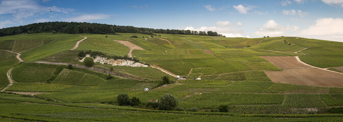 grand cru vineyards in Ay, champagne
