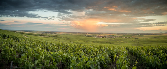 A panorama from the vineyards of the village of Bouzy in champagne
