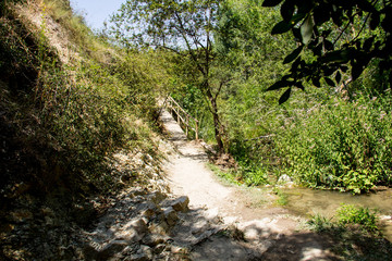 paseando por la naturaleza
