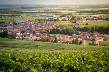 The village of Mesnil sur Oger in champagne, France