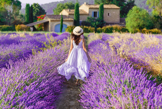 Provence, France. Charming young woman in Blooming Lavender fields at background of beautiful traditional French Provencal house.  Back view of lovely lady wearing waving Boho Chic purple Dress, hat.