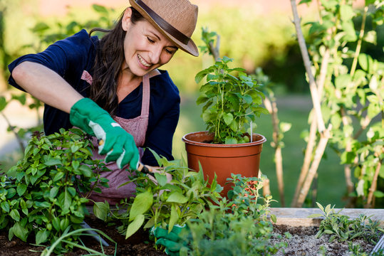 Fua bei der Arbeit im Kr&auml;utergarten