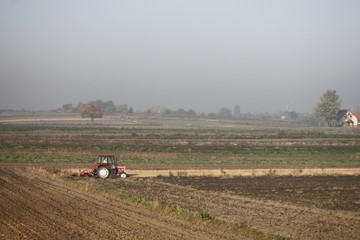 Tractor on the crops in the morning © Ruchacz