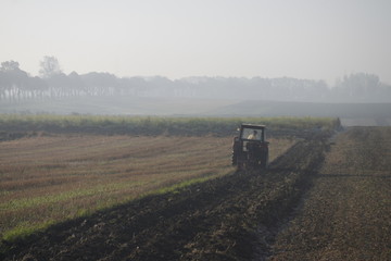 Tractor on the crops in the morning © Ruchacz