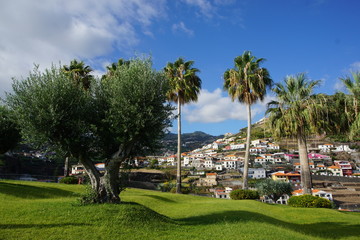 Jardim de Ilheu, Camara de Lobos, Madeira