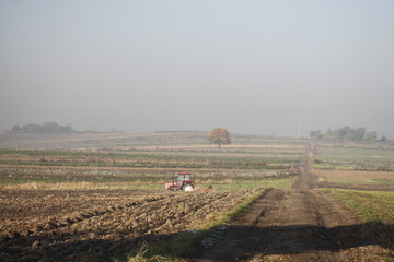 Tractor on the crops in the morning © Ruchacz