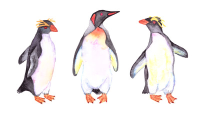 Penguins watercolor isolated on white   background for wallpaper and baby textile