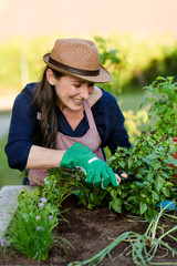 Fua bei der Arbeit im Kräutergarten