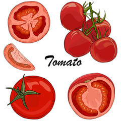 Vector set of colorful hand drawn tomatoes isolated on white background