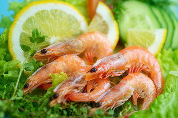 Shrimp, vegetable slices and greens for shrimp salad