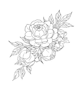 Peony flowers and leaves, tattoo compositions. Black linear illustration isolated on a white background.