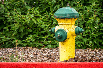 Fototapeta na wymiar fire hydrant along a red curb