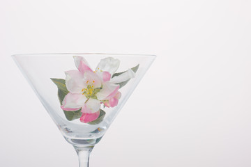  Flower in a martini glass. Close-up for a screensaver. - 353354538