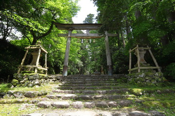 神社の入り口にある鳥居