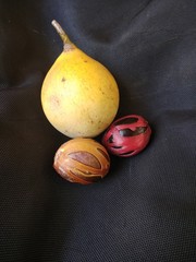 Myristica fruit and nutmeg