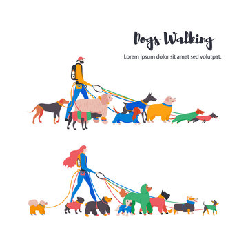Man and woman. Dogs walkers, french bulldog, toy terrier, spitz, corgi, basset hound, dachshund, rhodesian ridgeback, weimaraner, retriever, spaniel, komondor, doberman, poodle, mittelschnauzer.