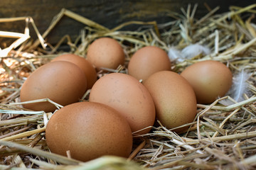 Many eggs in the nest are made from straw. Food obtained from chickens on farms. Healthy products from farmers. Products from rural areas.