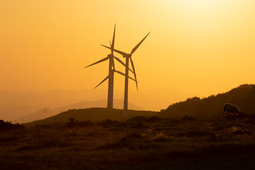 eolic wind generators at sunset