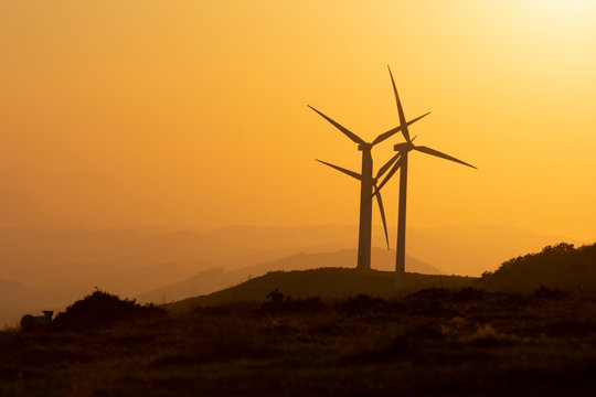 eolic wind generators at sunset