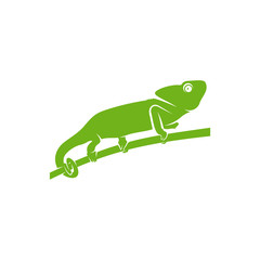 Chameleon logo design vector. Icon Symbol. Template Illustration