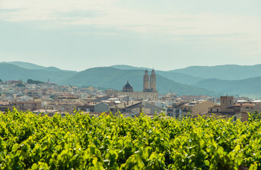 Fototapeta na wymiar View on the city Sant Pere de Ribes, Garraf, Catalonia