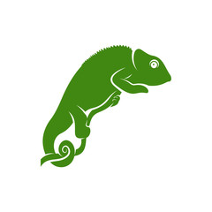 Chameleon logo design vector. Icon Symbol. Template Illustration