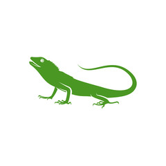 Naklejka premium Chameleon logo design vector. Icon Symbol. Template Illustration