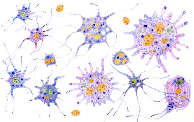 Medical watercolor illustration. Neurons in the brain on white background. Neurons are the units of the nervous system.