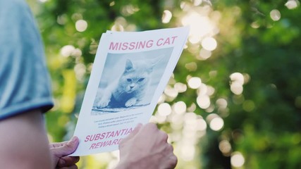 Hands with the announcement of the missing animal - domestic cat
